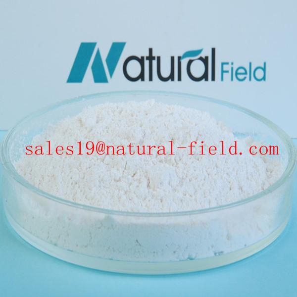 Quality Natural Polygonum cuspidatum Extract 98%/99% Polydatin for sale
