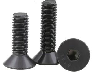 China C1022 SUS316 Steel Machine Screws , HDG Ruspert Nickel Allen Socket Cap Screw on sale