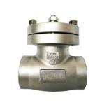 Cf8 / Cf3 Cryogenic Check Valve Straight Through Check Valve