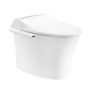 ARROW AKB1303 V6 Smart Sanitary Ware Toilet 1020W 220V 50Hz
