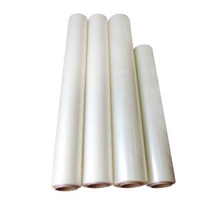 Glossy Surface Finish CPP Bottomless Cold Lamination Film