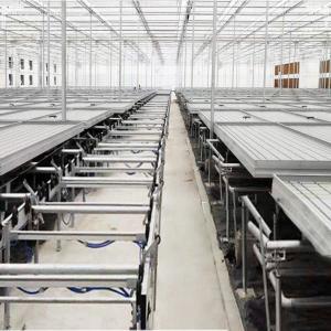 Greenhouse Rolling Bench Hydroponic Ebb And Flow Table Grow Trays