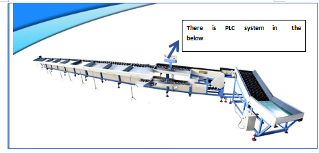 Customized Fruit Vegetable Grader Machine With Siemens Color Touch Screen