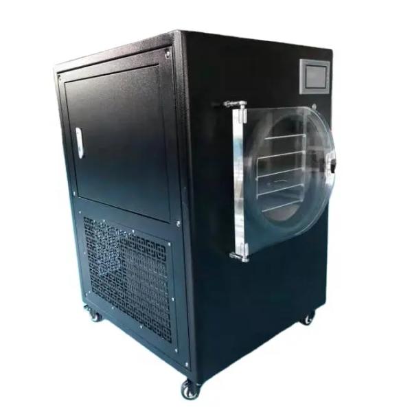 Stainless Steel Pharmaceutical Freeze Dryer Standard Customized