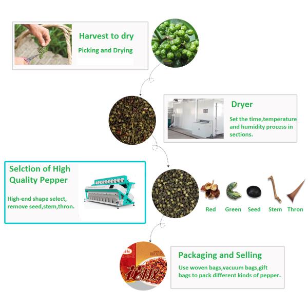 220V / 50HZ Pepper Sorting Machine Intelligent Spices Color Sorter For Industry