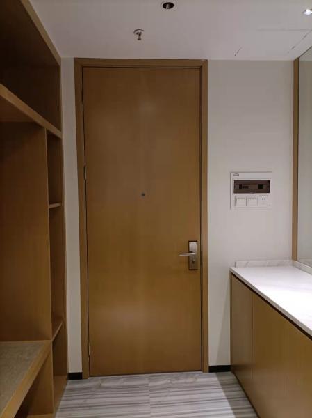 Quality OEM Service E1 Grade Plywood Door Panel Internal Bedroom Doors Flat for sale