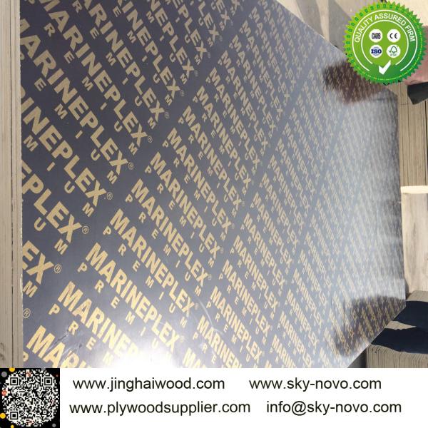 Quality Black film faced plywood /formwork/shuttering boards for sale