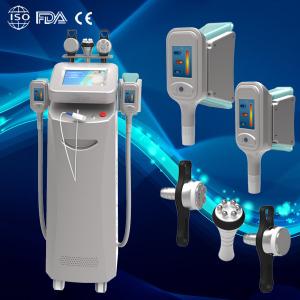 China Top distributors wanted!!! 2 handles frozen cryo lipolysis slim on sale