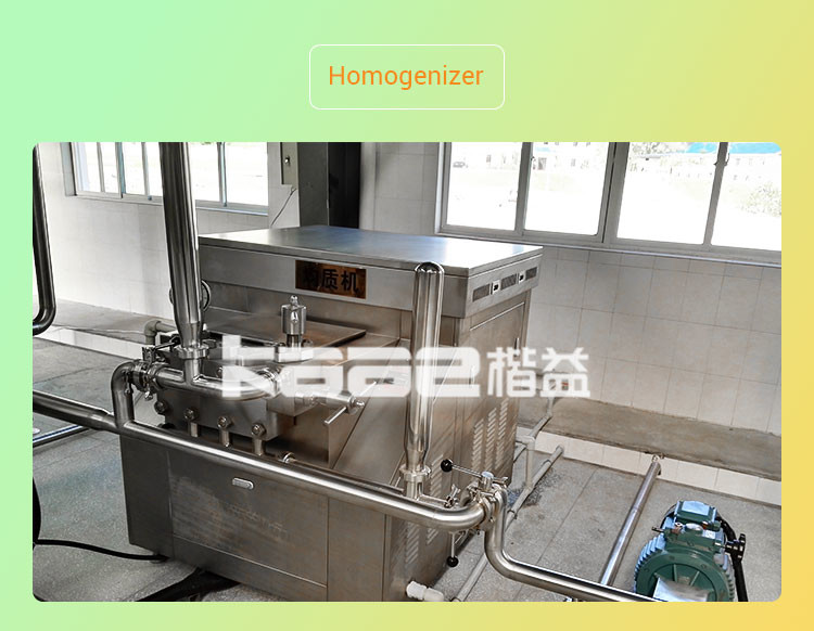 120T/H Mango Pulp Mango Processing Line Fruit Puree Production Line
