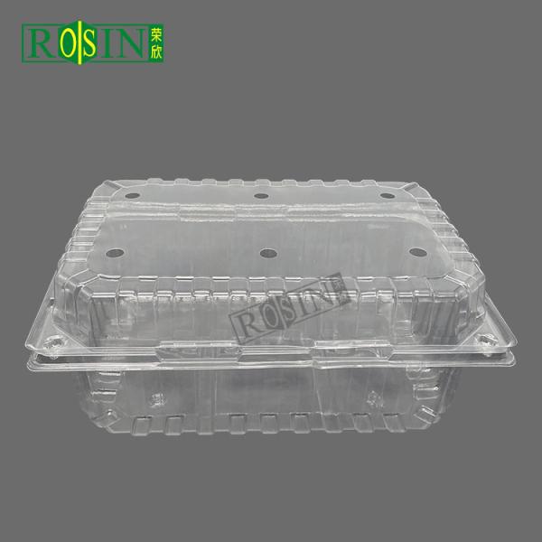 Quality Customizable Disposable Fruit Plastic Container Transparent With Vented Lid for sale