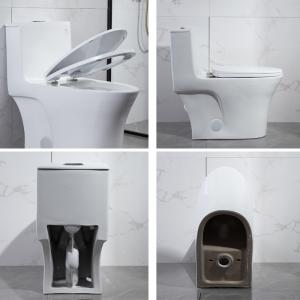 China Odm Dual Flush Elongated Toilet With Side Holes American Standard on sale