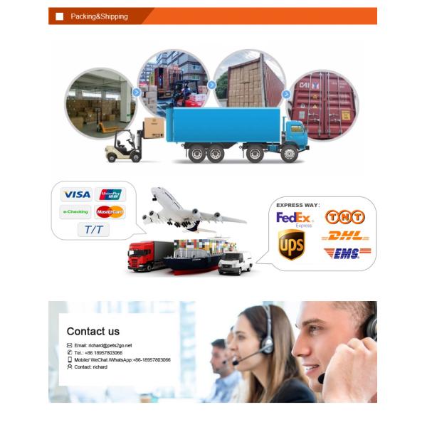 Automatic Water Feeding Cat Double Bowl Prevent Upsetting