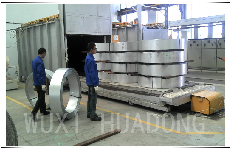 High Efficiency Bogie Hearth Furnace Multiple District Heating Frequency 60Hz