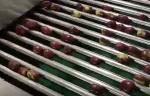 85WPM SS304 High Speed Packing Machine Linear Weigher For Pork