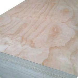 China high quality 1220*2440 melamine faced plywood UV faced natural veneer faced plywood for hot selling on sale