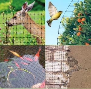 Buy cheap Anti Bird Polyethylene Mesh Netting product