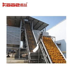 Automatic Turnkey Project NFC Juice Processing Line Orange Juice Extraction Machine