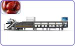 380V 50Hz 6 Lanes Robot Sorting Machine Electric Drive For Dates