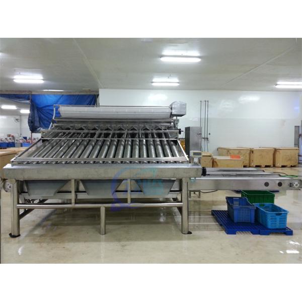 1500KG Fish Shrimp Grader Machine Multipurpose For Industrial