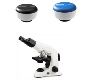 Buy cheap Trinocular Head Digital Optical Microscope / Digital Dissecting Microscope product