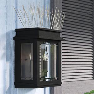 2.2 Cm Base Width Bird Spikes 10 Inches Length Simple Installation