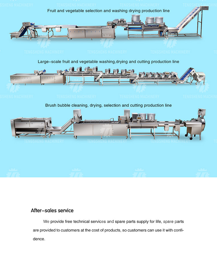 Multifunction Fruit And Vegetable Processing Line Automatic Washing And Sorting Machine
