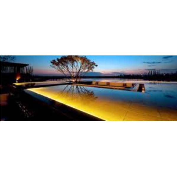 IP68 Flexible LED Strip Lights 5050 SMD 14.4W/M 12 / 24V DC Two Years Warranty