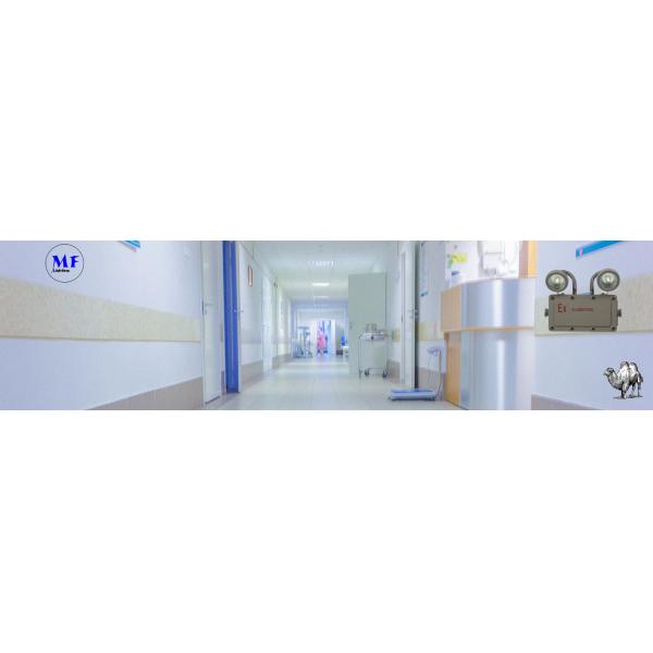 High Performance Emergency LED Light 110lm/W 10W Explosion-Proof Lithium Battery Long Lifespan IP66 Rated Hazardous Gas for Dust Environments