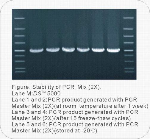 2x Taq PCR Reaction Mix P2011 1ml GDSBio Blue Buffer