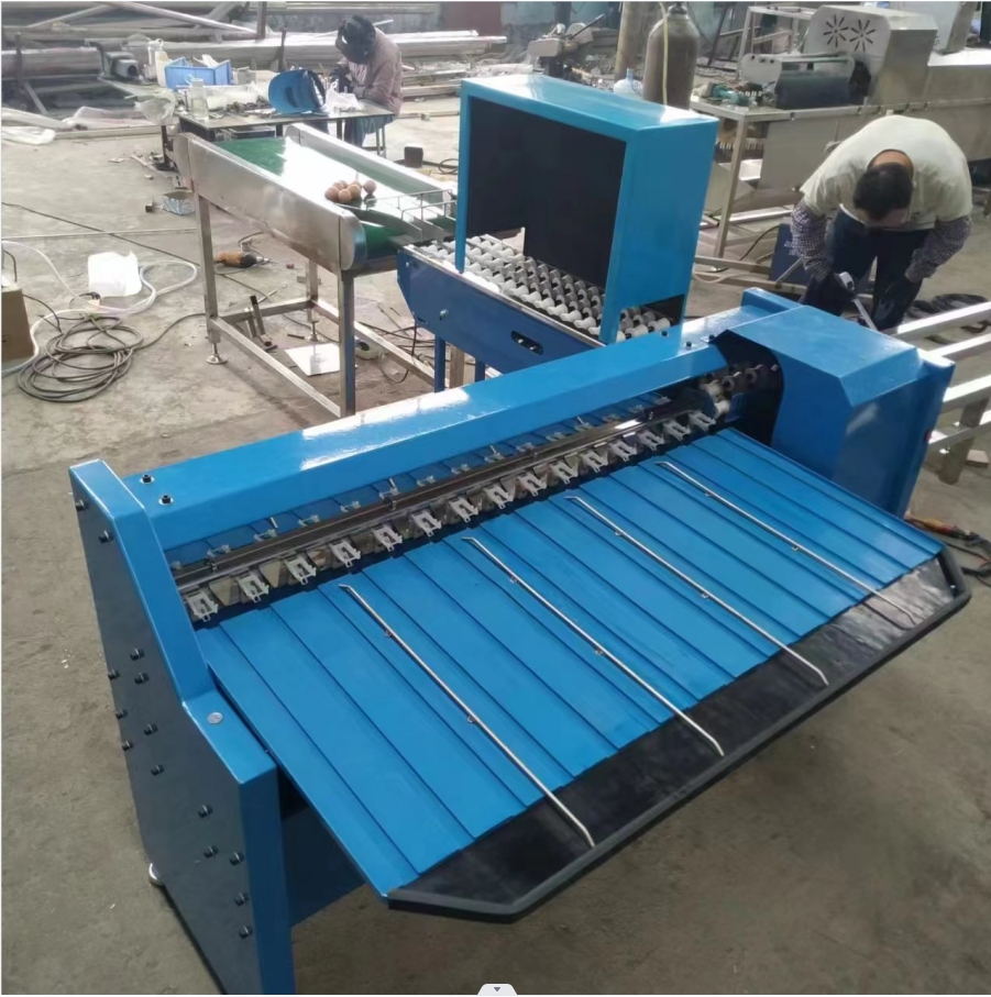 Egg Sorting And Washing Machine Egg Sorter Machine Egg Grader Machine