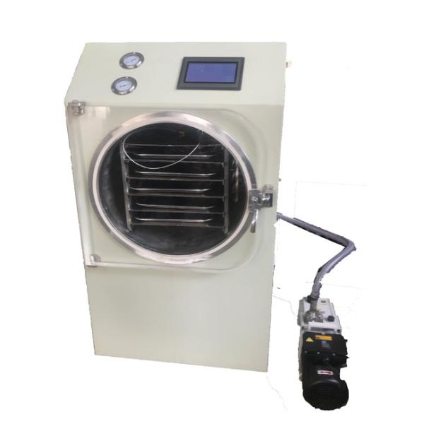 Quality 248kg Mini Freeze Drying Machine Touch Screen Operating Automatical Control for sale