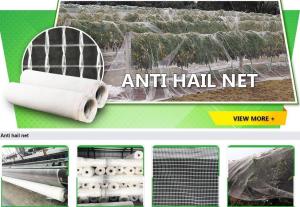 China bird protection net, net trap,bird net,anti-bird net,mist net,pe tarpaulin,tarpaulin roll,shade net,mesh net,monoflament on sale