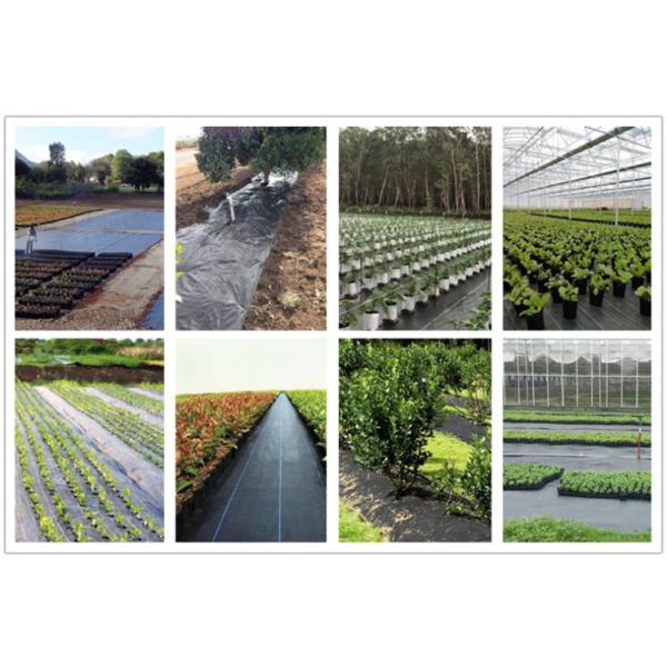 High Quality UV Treated Gardening Flower Weed Control Ground Cover Woven Fabric