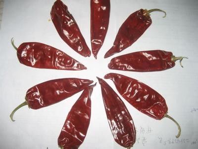 12CM Dry Red Chilli Whole Xinglong 10KG Dried Asian Chili Peppers