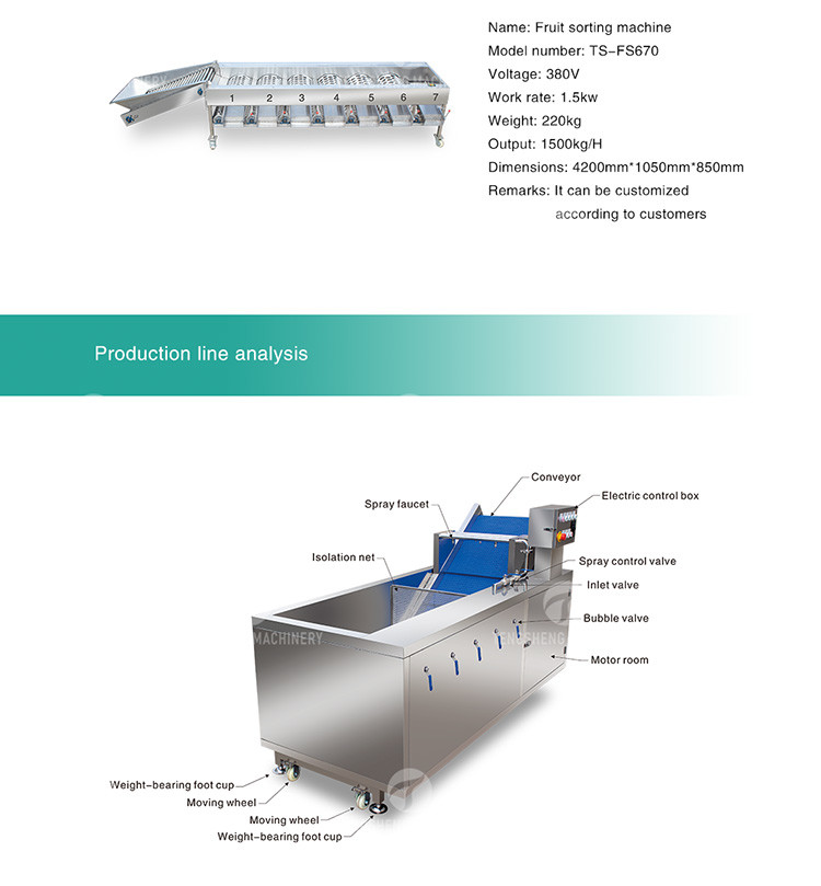 Drying Sorting Circulating Surfing Fruit And Vegetable Processing Line Apple Tengsheng