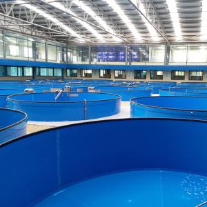 Buy cheap Temperature Controllable High Density Recirculated Aquaculture System RAS Farming System product