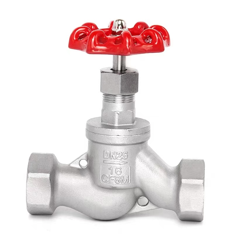 Stainless Steel Bsp/NPT/BSPP Thread Globe Valve