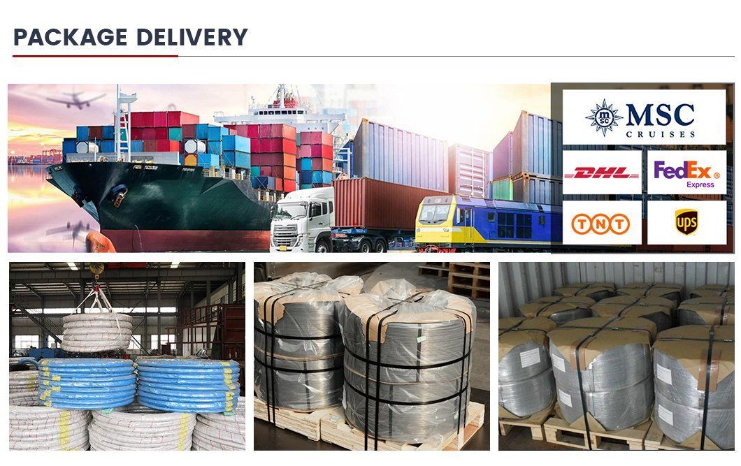 Factory Direct Sales Swg AWG Bwg Gauge 5-10 Customized Size Low Carbon Steel Wire Hot Dipped Gi Wire Galvanized Steel Wire Spot Sales