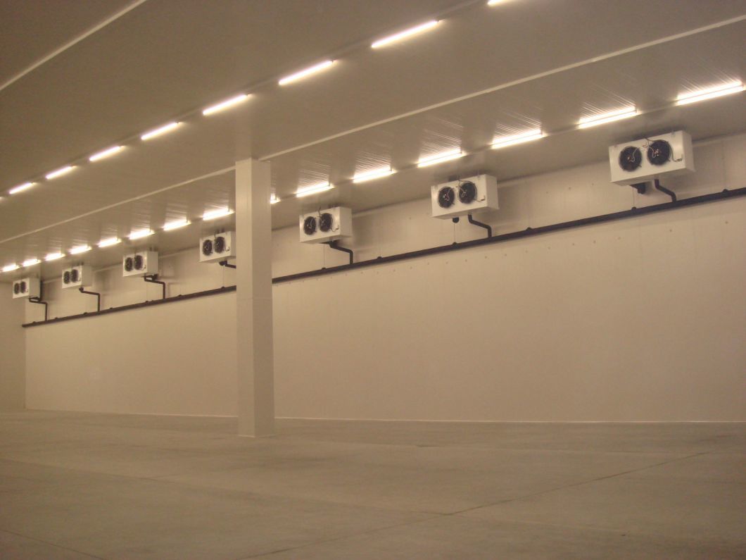 Professional Manufacturer Container Cold Room Cold Storage for Frozen Food Meat