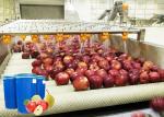 Ss 304 Apple Processing Line / Fruit Jam Making Machine High Level Sanitation