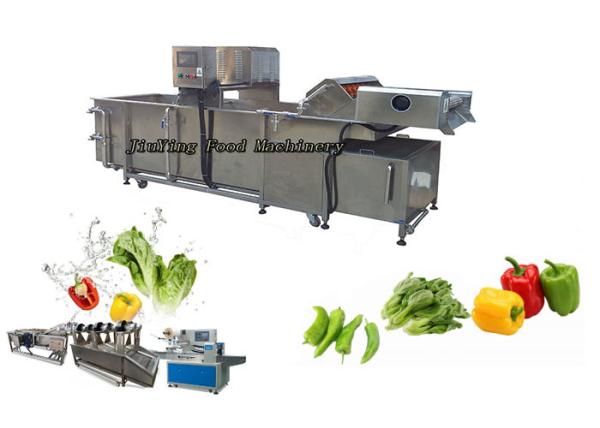 Quality Customized Vegetable Fruit Washing Machine Salad Lemon Orange Parsley Washer for sale