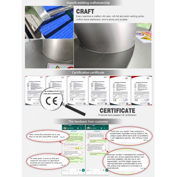 Multifunction Fruit And Vegetable Processing Line Parallel Brush Machine