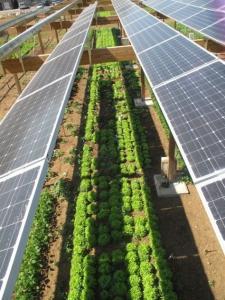 Cusomized 6000W Inverter CE IEC Grid Solar Voltaic System