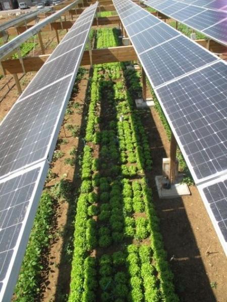 Quality Cusomized 6000W Inverter CE IEC Grid Solar Voltaic System for sale