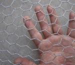 Galvanized hexagonal wire netting Iron wire mesh