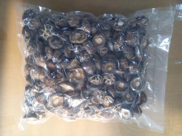 Quality Healthy Dried Shiitake Mushroom 11% Moisture No Foreign Odours for sale