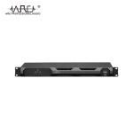 ARE AUDIO line array speaker stage speaker audio sound system dual 12 inch