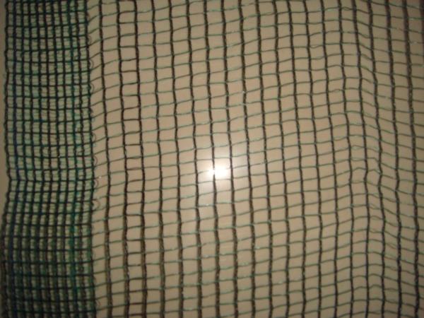 Quality Crop Anti Hail Protection Net With Uv Resistent For Grape 30gsm - 50gsm for sale