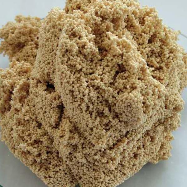 Quality Water Treatment Solution Ostrich Brown ASD-001 Ion Exchange Resin for Ammonia Nitrogen Removal for sale