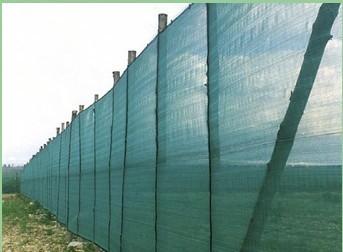 Quality Green Windbreak Netting for sale